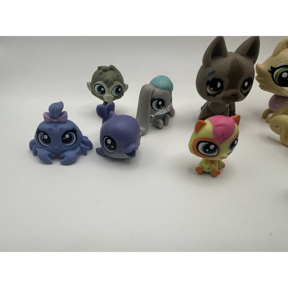 Littlest Pet Shop Mixed Lot of 13 LPS Figures Cats Dog Amphibians Etc - Picture 3 of 5